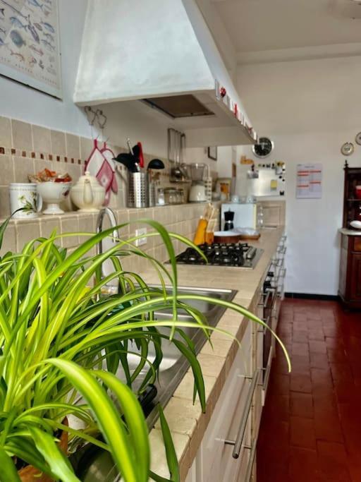 Casa - Stella Appartement *