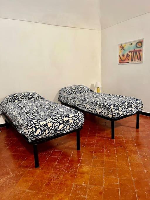 Casa - Stella * Genua