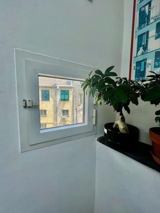 Appartement Casa - Stella