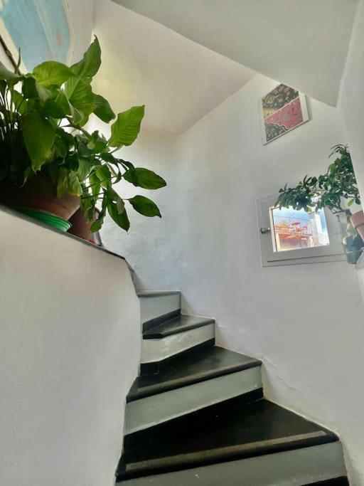 Appartamento Casa - Stella Genova